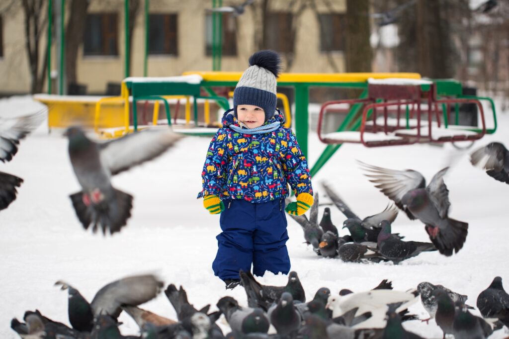 A little boy surrounded by birds in a snowy park